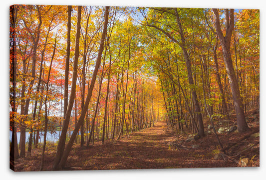 Following fall