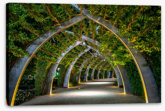 Brisbane Arbour by night