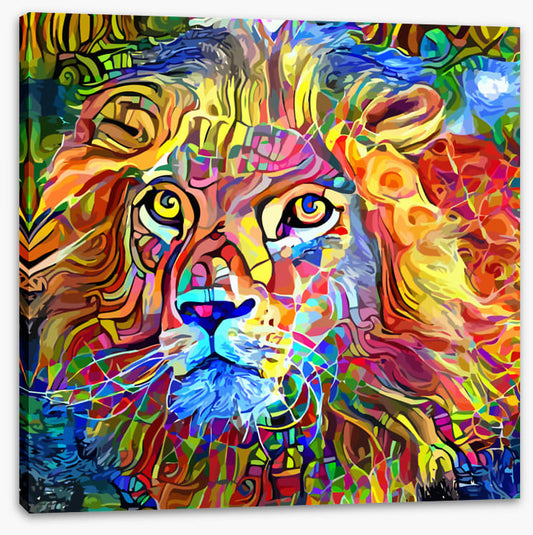 Kooky lion