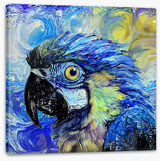 Starry night parrot