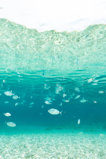 Underwater