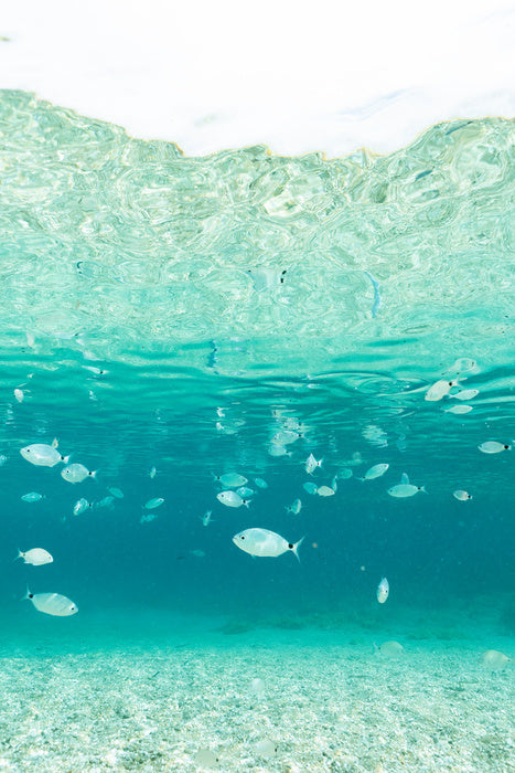 Underwater