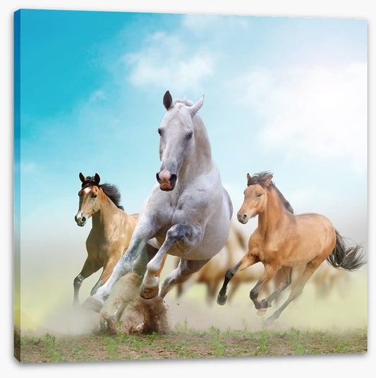 Running horses