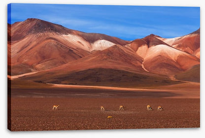 Desert