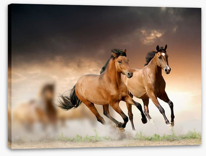 Mammals