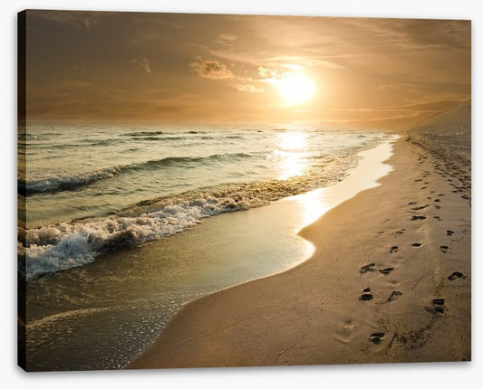 Golden sunset on the shore