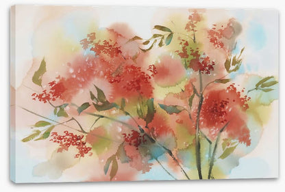 Rowan berry aquarelle