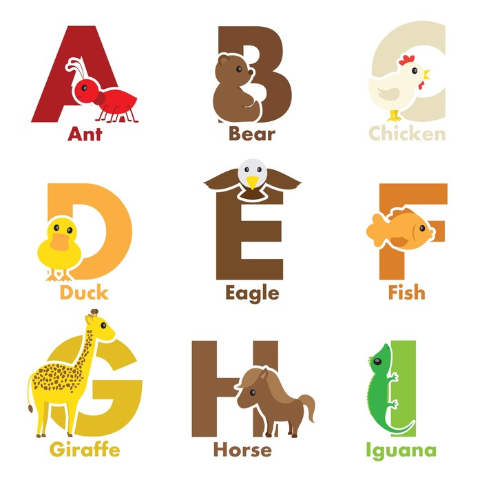 Alphabet and Numbers