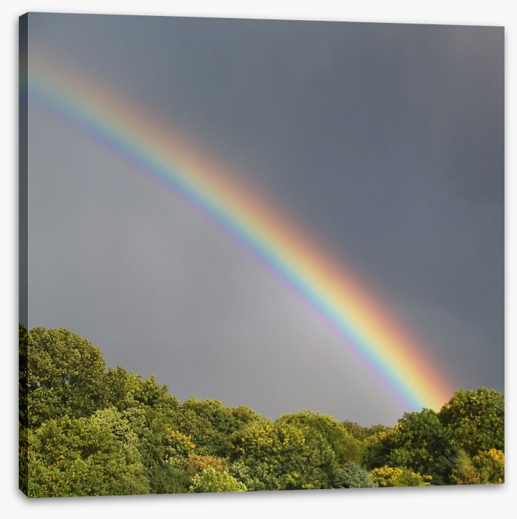 Rainbows