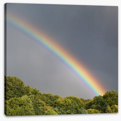 Rainbows