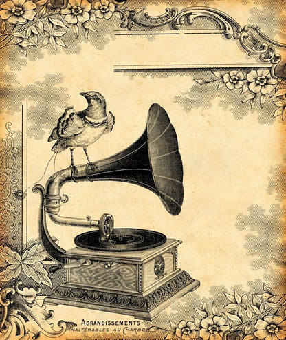 Vintage gramophone