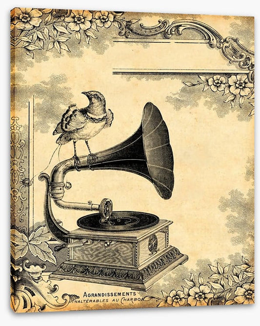 Vintage gramophone
