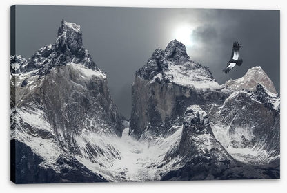 Flight of the condor