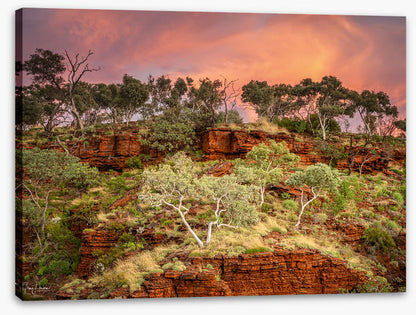 Karijini treescape