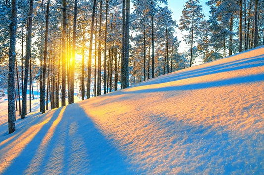 Rays of the setting sun