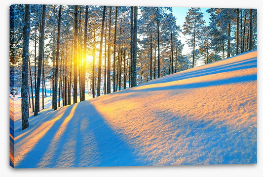 Rays of the setting sun
