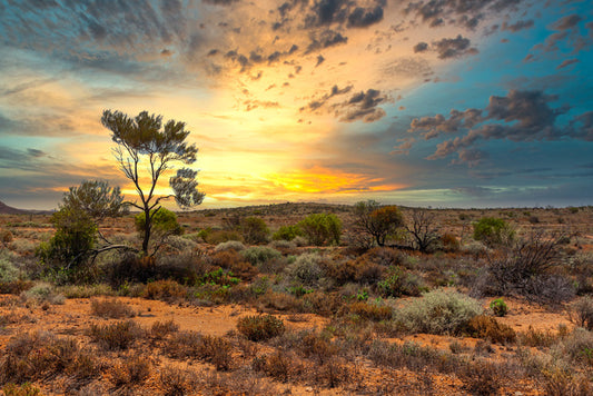 Sunset in the scrub