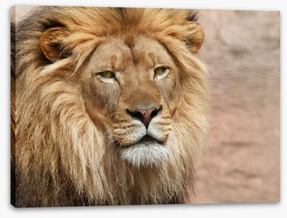 The old king