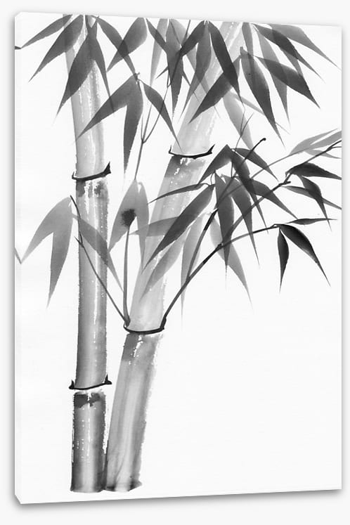 Bamboo watercolour