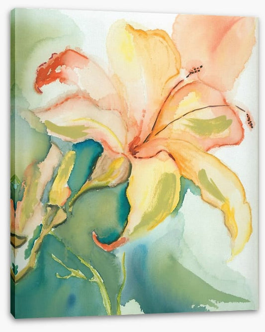 Lily of the garden
