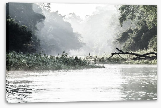 Rivers
