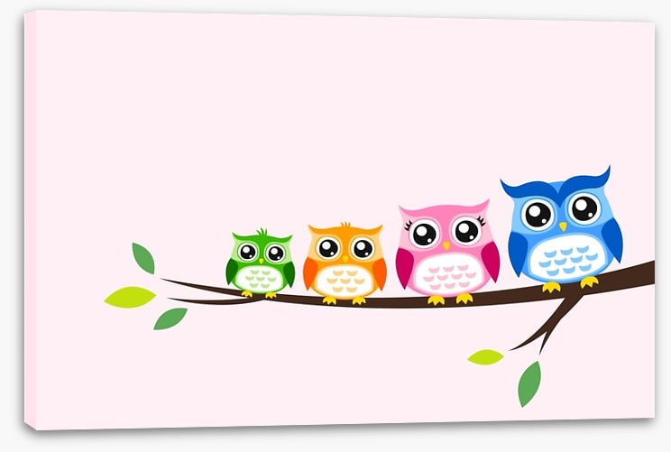 Rainbow owls