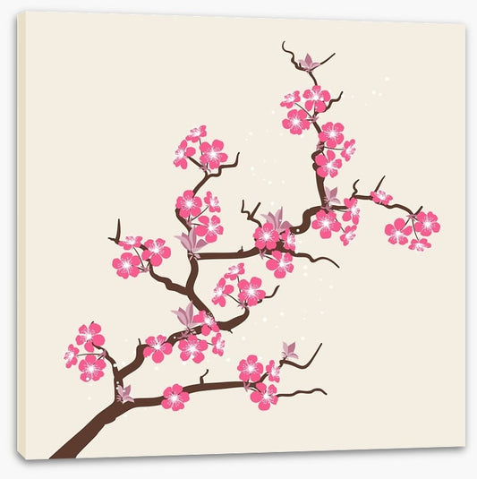 Cherry pink blossom