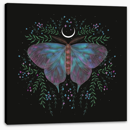 Moonlight moth