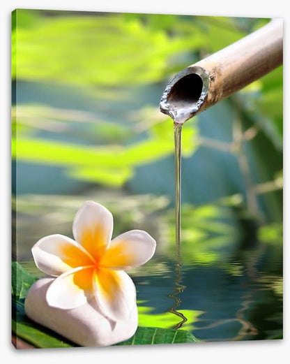 Serenity