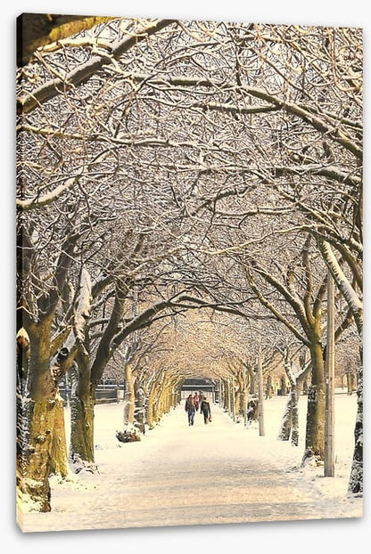 Winter pathway