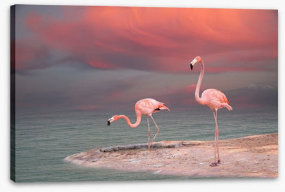 Pink flamingo sunset