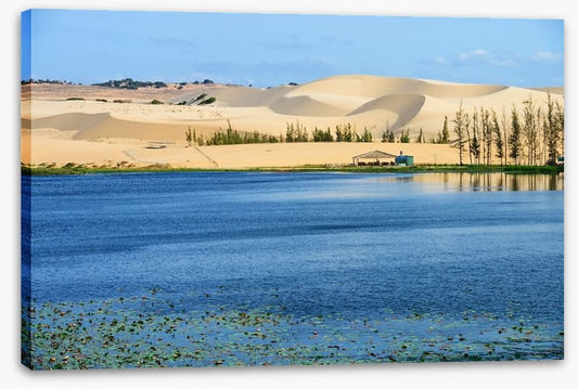 Desert