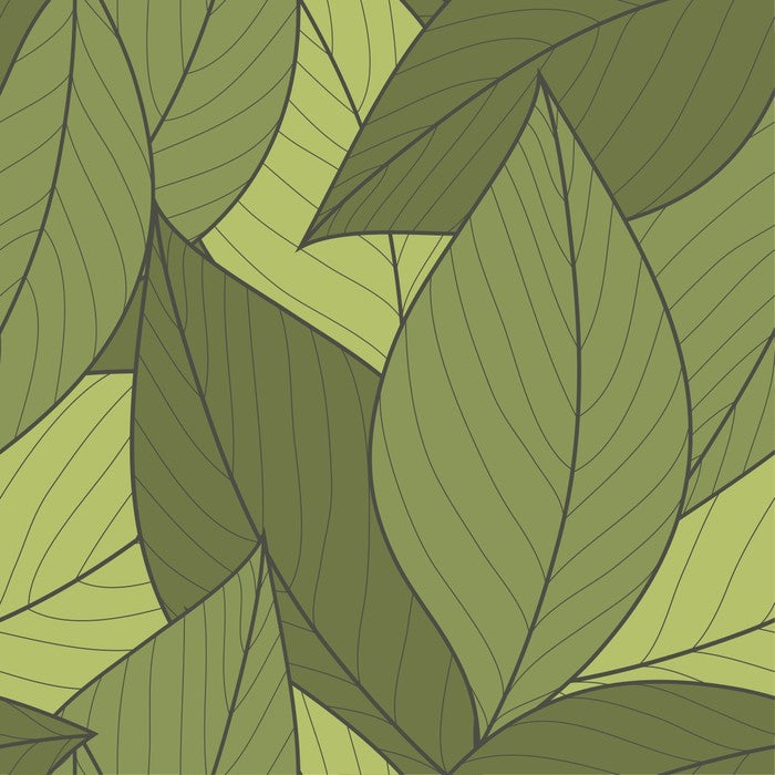 Moss leaves