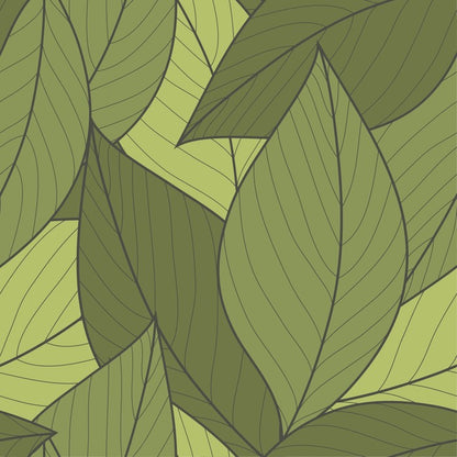 Moss leaves