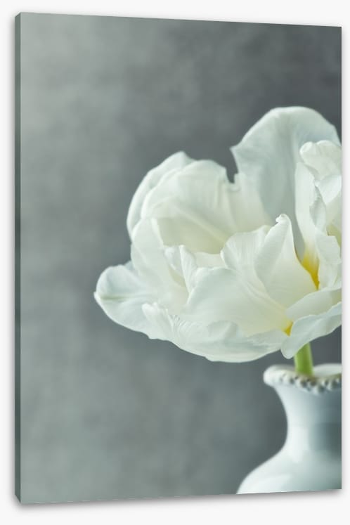 Fragile simplicity