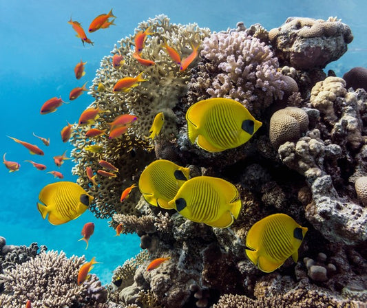Underwater