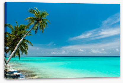 Paradise lagoon