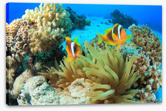 Underwater