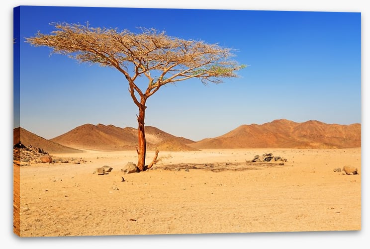 Desert