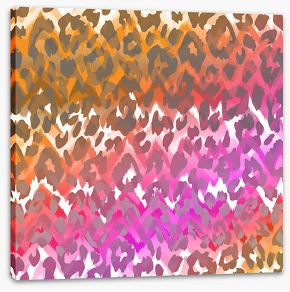 Animal Print