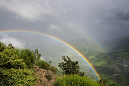 Rainbows