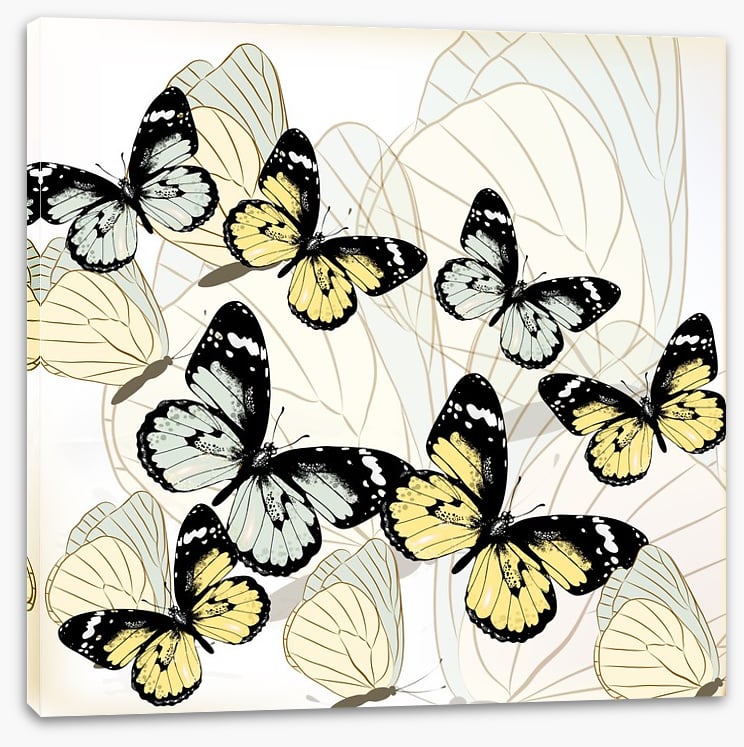 Butterflies