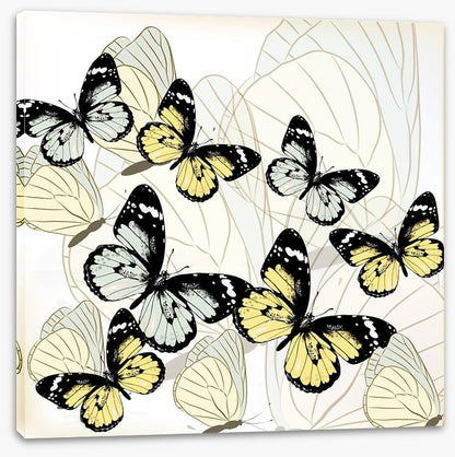 Butterflies