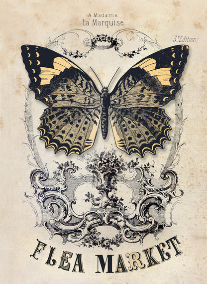 Madame la marquise