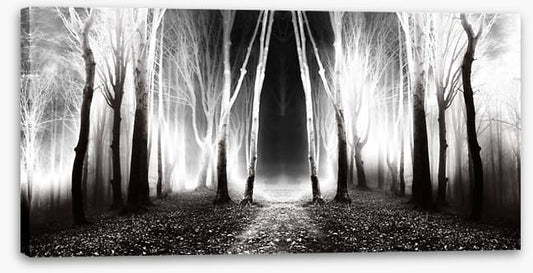 Forests