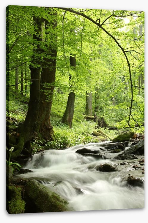 Spring cascades