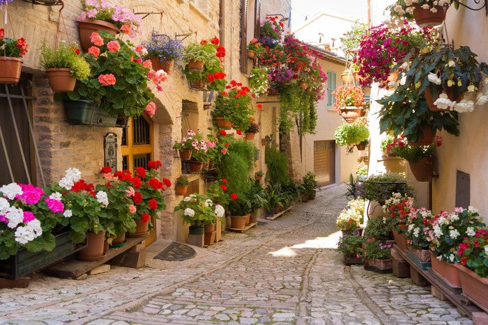 Italian alley with flowers