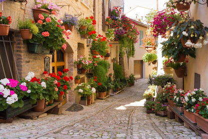 Italian alley with flowers