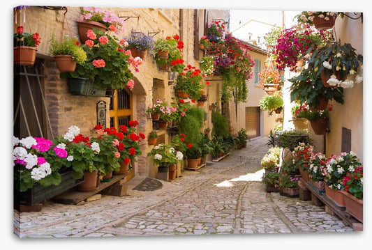 Italian alley with flowers