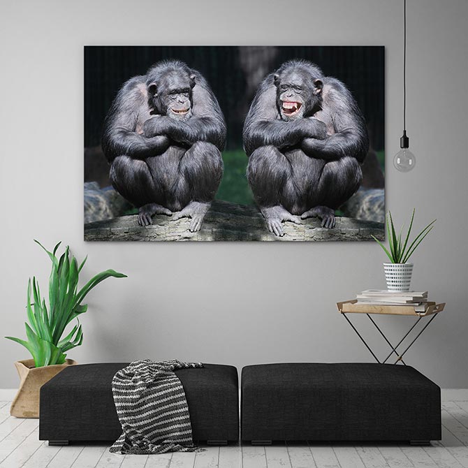Monkeying around